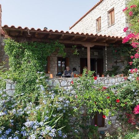 Elise Cottage Vathí Kültér fotó