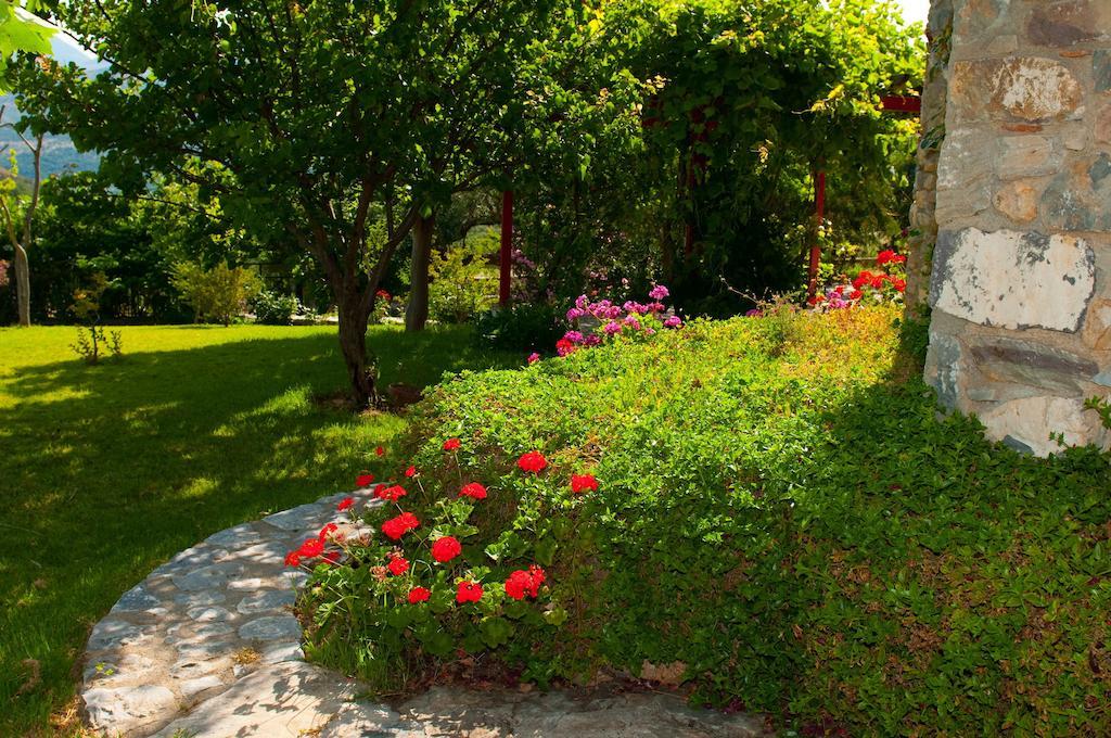Elise Cottage Vathí Szoba fotó
